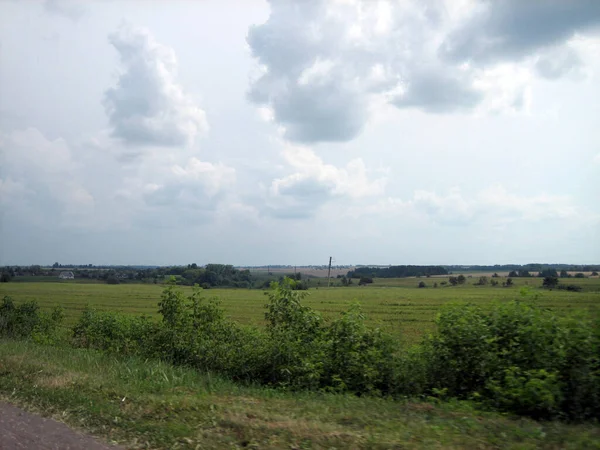 農地の明確なフィールドが密接草で覆われています 空に雲がある 地平線に森が暗くなる — ストック写真