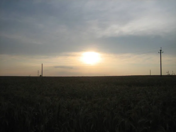 Promienie Późnego Zachodu Słońca Nad Niekończącym Się Polem Zmierzchu Wieczoru — Zdjęcie stockowe