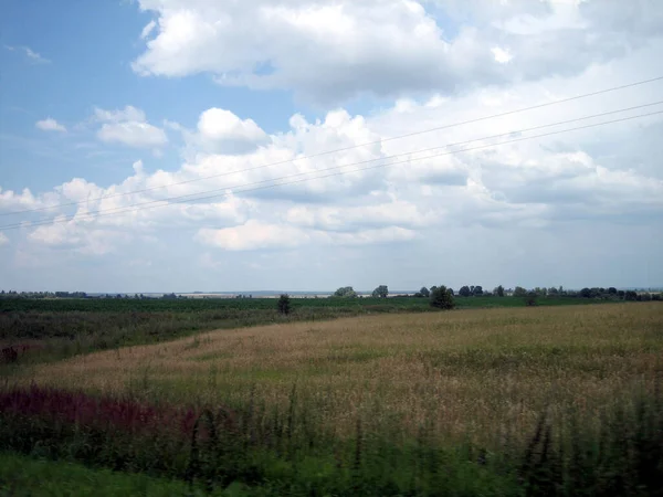 Campo Chiaro Terreno Agricolo Densamente Ricoperto Erba Sono Nuvole Nel — Foto Stock