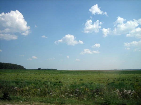 Campo Chiaro Terreno Agricolo Densamente Ricoperto Erba Sono Nuvole Nel — Foto Stock