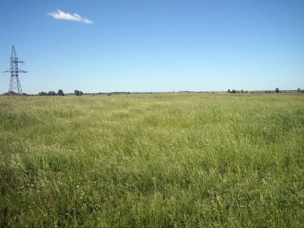 Ein Flaches Klares Feld Aus Ungemähtem Gras Einem Klaren Wolkenlosen — Stockfoto