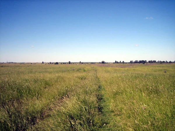 Campo Piatto Chiaro Erba Non Tagliata Una Giornata Limpida Senza — Foto Stock