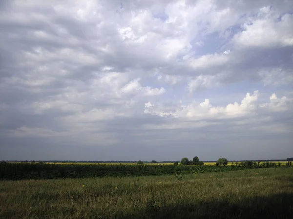 Een Helder Veld Landbouwgrond Dicht Begroeid Met Gras Zijn Wolken — Stockfoto