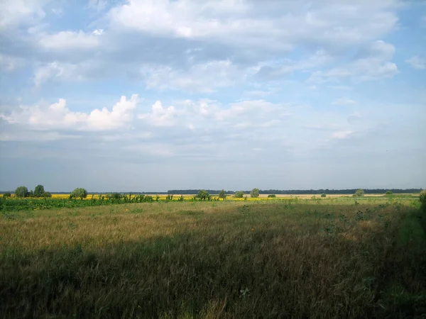 Een Helder Veld Landbouwgrond Dicht Begroeid Met Gras Zijn Wolken — Stockfoto