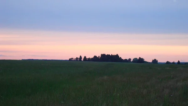 Clouds Bright Scarlet Sunset Spreads Sky Endless Field Late Hour — Stock Photo, Image