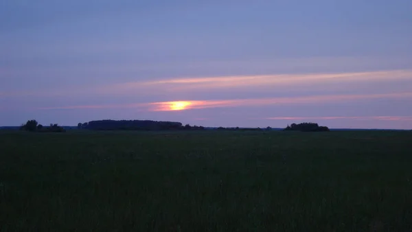 Промені Пізнього Заходу Сонця Над Нескінченним Полем Сутінках Вечора — стокове фото