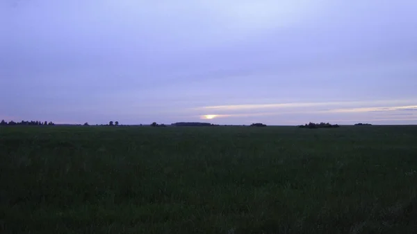 夜の明かりの中 果てしなく続く畑に沈む夕日の光 — ストック写真