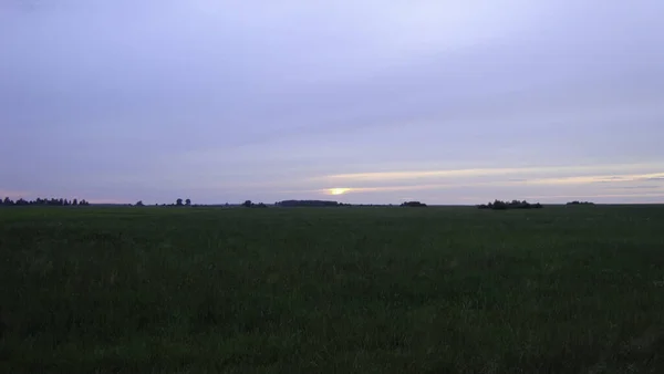 夜の明かりの中 果てしなく続く畑に沈む夕日の光 — ストック写真