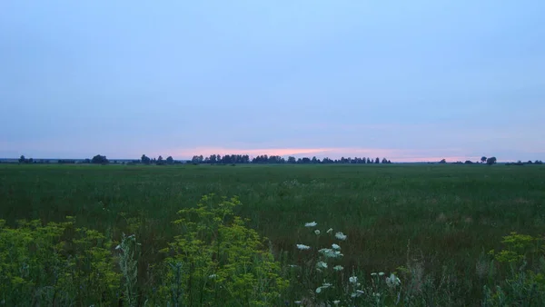 Clouds Bright Scarlet Sunset Spreads Sky Endless Field Late Hour — Stock Photo, Image