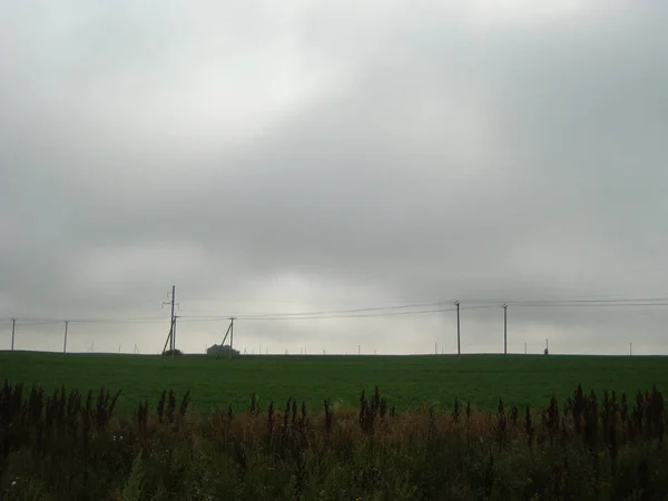 Campo Claro Terras Agrícolas Densamente Coberto Com Grama Nuvens Céu — Fotografia de Stock