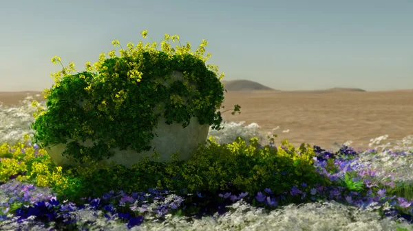 Wüste in voller Blüte, 3d cg — Stockfoto