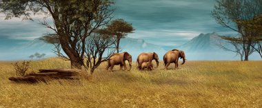 Afrika filleri, 3d Cg