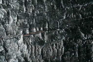 Yangından sonra yanmış çam ağacının siyah dokusu, yakın çekim makro fotoğraf.