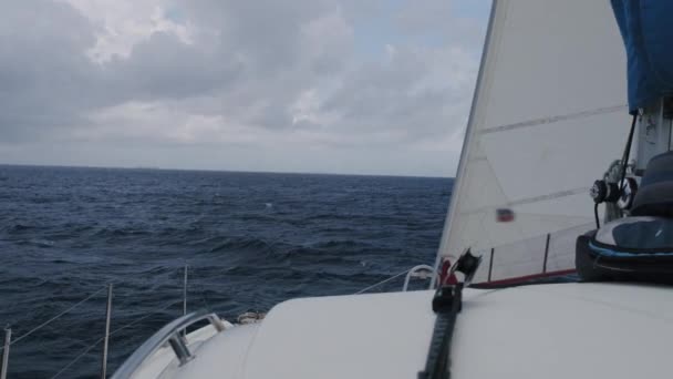 Насолоджуватися видом на море під час круїзу — стокове відео