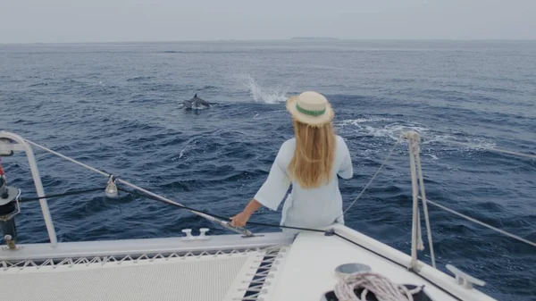 Delfines nariz de botella nadan y juegan — Foto de Stock