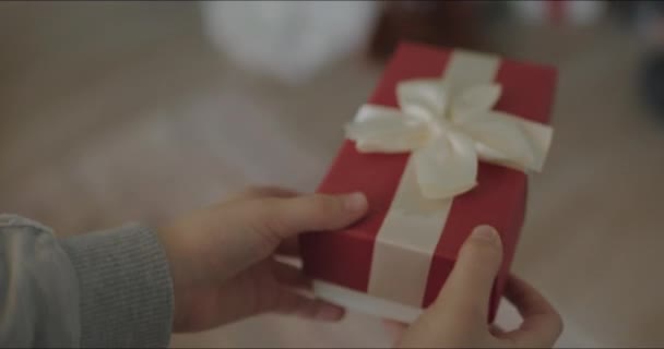 Ragazzo mette regalo sotto l'albero — Video Stock