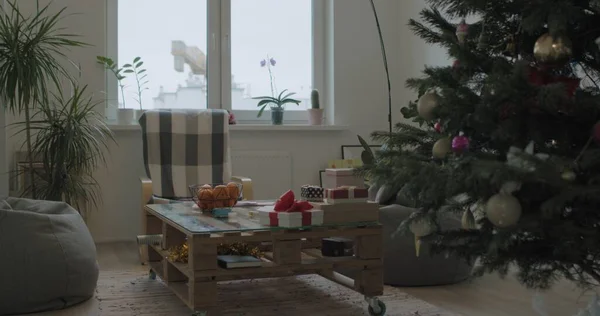 Рождественская елка в помещении — стоковое фото