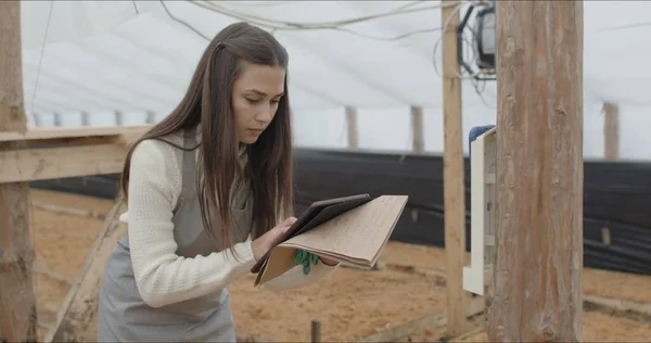 Mooie vrouw aan het werk in kas — Stockfoto