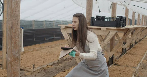 Mooie vrouw aan het werk in kas — Stockfoto