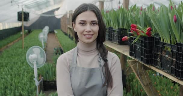 Pequeno negócio de cultivo de flores de propriedade familiar — Vídeo de Stock