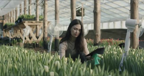 Kleines Familienunternehmen mit Blumenanbau — Stockvideo