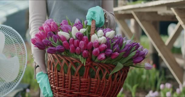 Bisnis bunga kecil milik keluarga. — Stok Video
