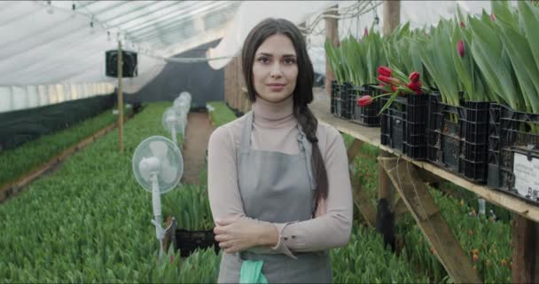 Pequeno negócio de cultivo de flores de propriedade familiar — Vídeo de Stock