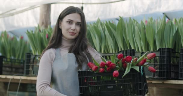 Pequeno negócio de cultivo de flores de propriedade familiar — Vídeo de Stock