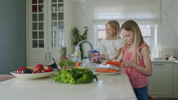 Meninas inteligentes preparando salada — Vídeo de Stock