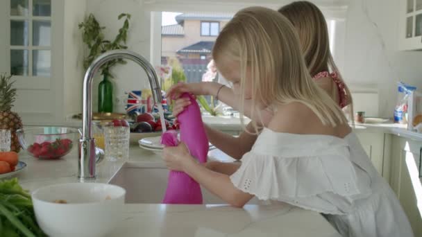 Δυο ευτυχισμένες αδερφές πλένουν πιάτα. — Αρχείο Βίντεο