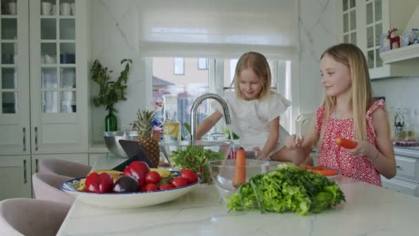 Smart Little Girls Preparing Salad — Stock Video