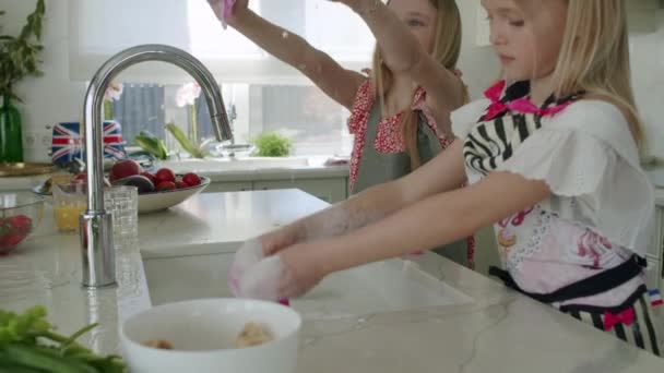 행복 한 두 자매가 설거지를 한다 — 비디오