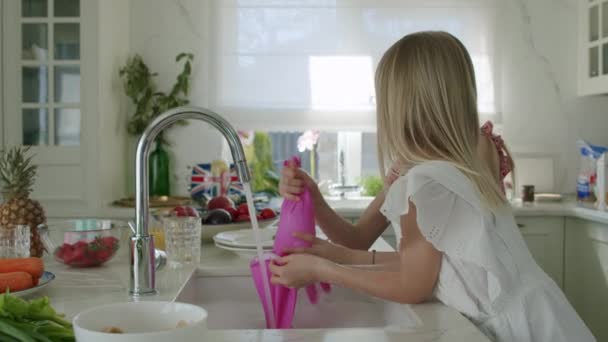 Ευτυχισμένα δύο κορίτσια πλένουν πιάτα — Αρχείο Βίντεο
