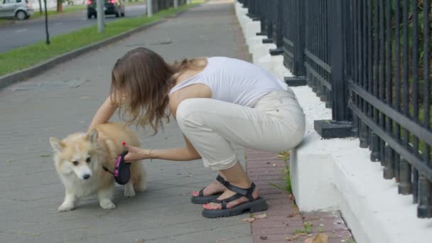 Dog walker strides with his pet — Stock Video