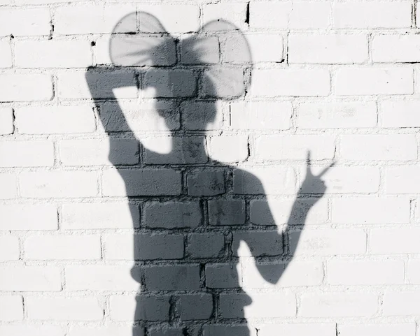 Photo of shadows of woman with ears — Stock Photo, Image