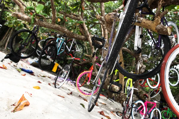 Molte biciclette parcheggiate sull'albero — Foto Stock