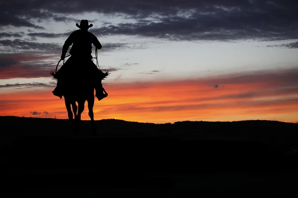 Egy ló a cowboy — Stock Fotó