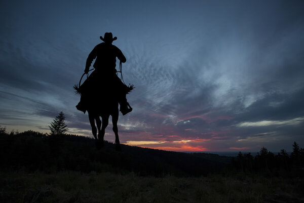 Cowboy on a horse