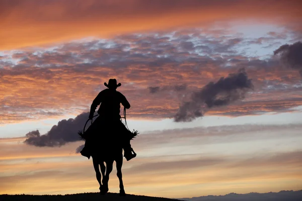 Cowboy auf einem Pferd — Stockfoto