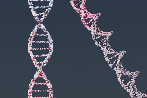 DNA Science Biotechnology model. 3D rendering