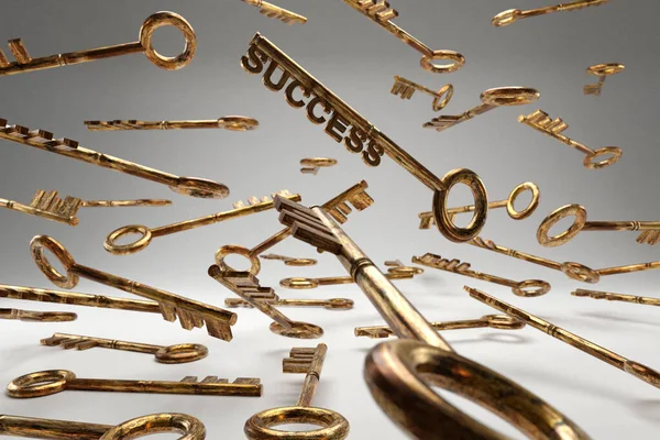 Strategieidee Konzeptgeschäft Goldene Schlüssel Mit Erfolgszeichen Rendering — Stockfoto