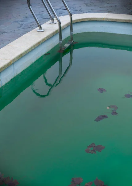 pool in autumn, with leaves in water