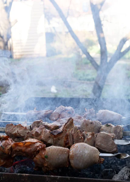 Carne Fumegante Suculenta Cozido Grelha — Fotografia de Stock