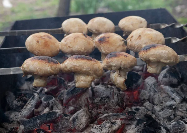 Spiedino Fritto Funghi Alla Griglia — Foto Stock