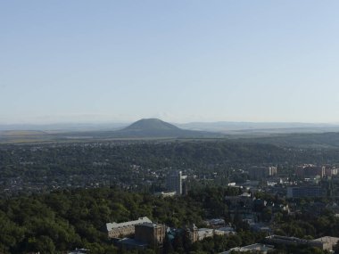 Ormandaki güzel yaz manzarası