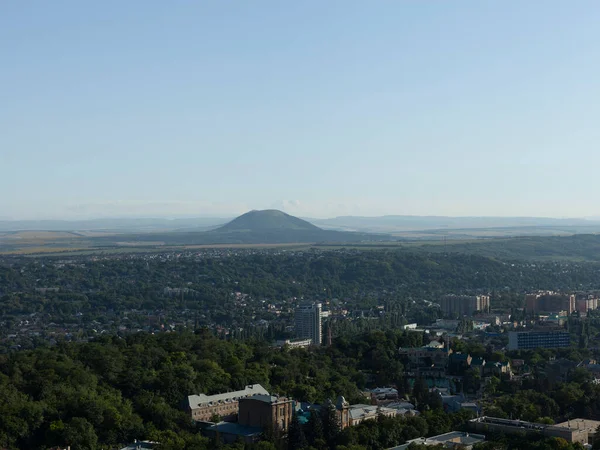 Ormandaki güzel yaz manzarası