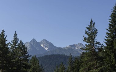 Güzel yüksek dağlar Bir yaz günü