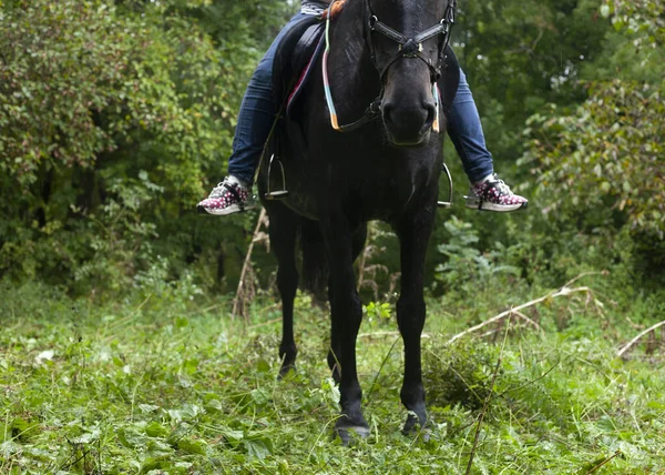 Девушка Едет Черной Лошади Через Лес — стоковое фото