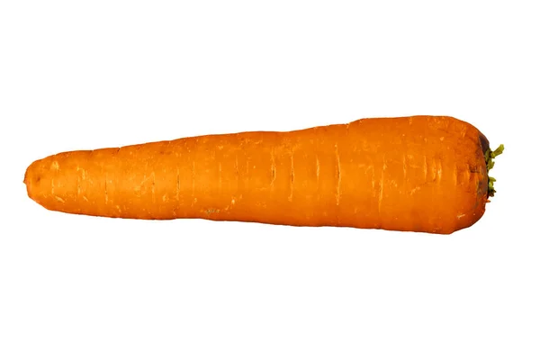 在白色背景特写下分离的成熟新鲜胡萝卜 — 图库照片