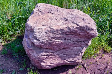 Toprak ve çimenlerin arka planında büyük bir kaya parçası yatıyor..